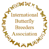 IBBA