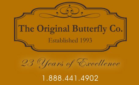 live butterfly releases for weddings, funerals, memorials, and plantable seed paper favors