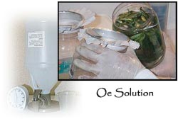 Oe Solution